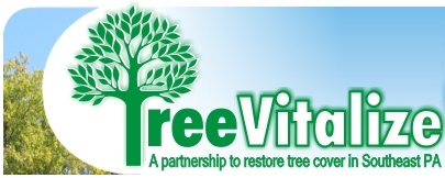 TreeVitalize logo